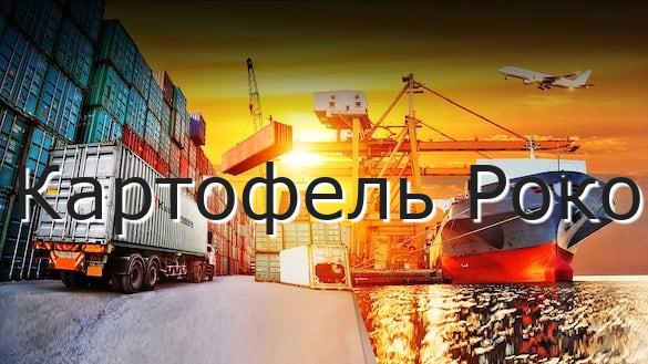 Картофель Роко