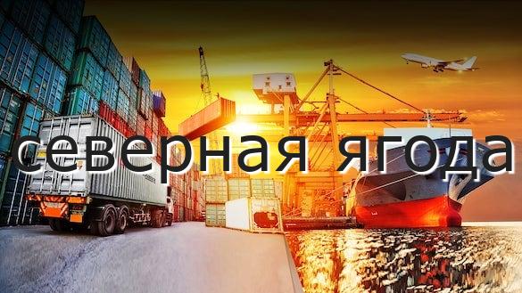 северная ягода